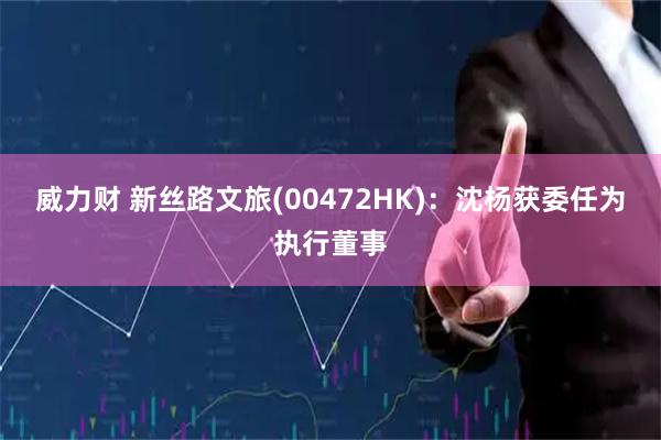 威力财 新丝路文旅(00472HK)：沈杨获委任为执行董事