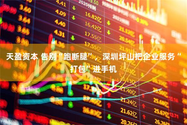 天盈资本 告别“跑断腿”，深圳坪山把企业服务“打包”进手机