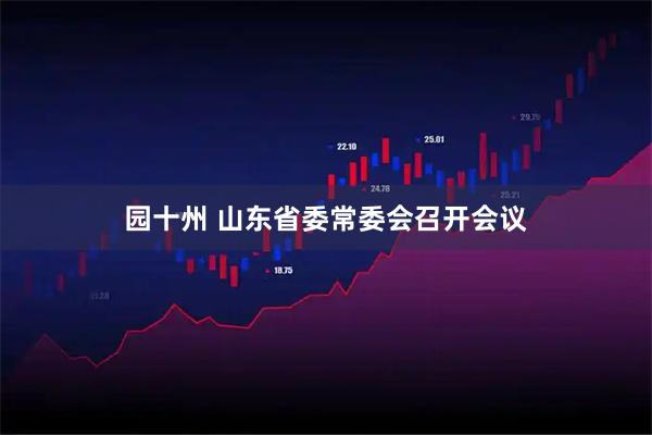 园十州 山东省委常委会召开会议
