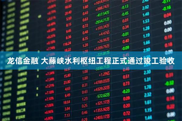龙信金融 大藤峡水利枢纽工程正式通过竣工验收